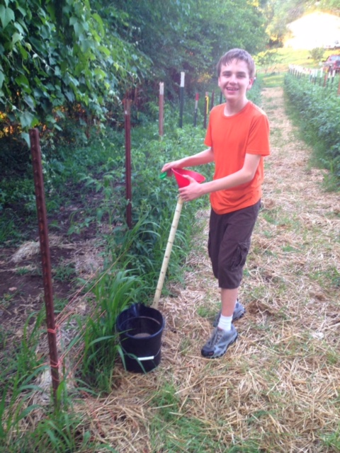 Photo: Pictured: Caleb works on a gardening project through Youth Volunteer Corps of Greater Kansas City.