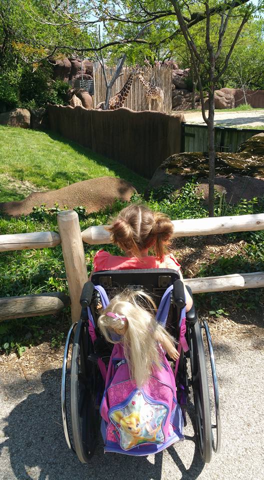 Photo: A girl sits with her back to the camera in a wheelchair. She's looking at the animals in the zoo.